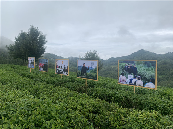 1597626447257909.jpg QQ圖片20200814110424.jpg